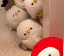 分享一波沙雕可爱的句子 想要甜甜的恋爱馊的也